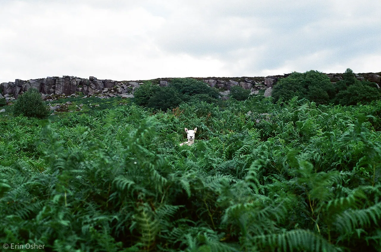 Day in the Peak District